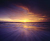 CA, San Diego Sunset Cliffs Beach at Sunset by Christopher Talbot Frank - Item # VARPDXUS05BJA1124