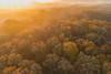 Aerial View of fall Color at sunrise-Marion County-Illinois by Richard and Susan Day - Item # VARPDXUS14RDY2802
