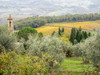 Italy-Chianti Pieve di Santa Maria Novella near Radda in Chianti by Julie Eggers - Item # VARPDXEU16JEG0949