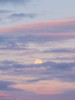 Colourful skies at sunset by Assaf Frank - Item # VARPDXAF20210525049