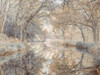 Canal through forest by Assaf Frank - Item # VARPDXAF20201105285PANOC07