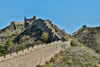 Asia-China-Jinshanling-The Great Wall by Hollice Looney - Item # VARPDXAS07HLL0202