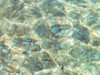 Water Surface by Assaf Frank - Item # VARPDXAF20121229044G