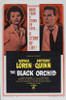 The Black Orchid Movie Poster (11 x 17) - Item # MOVCJ5949