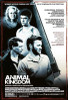 Animal Kingdom Movie Poster (11 x 17) - Item # MOVCB88201