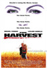 The Harvest Movie Poster (11 x 17) - Item # MOVEE6216