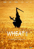 Wheat Movie Poster (11 x 17) - Item # MOVAB11030