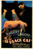 The Black Cat Movie Poster (11 x 17) - Item # MOVEC9821