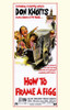 How to Frame a Figg Movie Poster (11 x 17) - Item # MOVAE1963