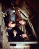 Gordon Jackson, Donald Pleasence And Richard Attenborough In The Great Escape Photo Print - Item # MVM59257