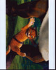 Antonio Banderas In Shrek 2 Photo Print - Item # MVM59339