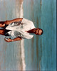 John Wayne On Beach In White Top And Shorts Photo Print - Item # MVM56286