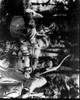 Kevin Sorbo And Ren�e O'Connor In Hercules: The Legendary Journeys - Hercules And The Lost Kingdom Black And White Photo Print - Item # MVM57673