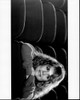Dyan Cannon Leaning On Seat In Theater Photo Print - Item # MVM59480