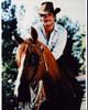 Lee Horsley On Horse Photo Print - Item # MVM60054