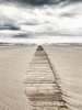 Sandy Boardwalk Poster Print - Incado