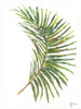 Palm Frond Vibrant Poster Print - Georgia Janisse