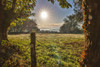 Spain-Galicia Early morning on the Camino de Santiago near Vilei Poster Print - Hollice Looney