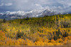 USA-Colorado-Uncompahgre National Forest San Juan Mountains and aspen forest in autumn Poster Print - Gallery Jaynes