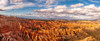 USA-Utah-Zion National Park Panoramic of Zion Canyon from Inspiration Point Poster Print - Gallery Jaynes