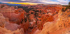 USA-Utah-Zion National Park Panoramic of Fairyland Point in Zion Canyon at sunrise Poster Print - Gallery Jaynes