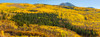 USA-Colorado-White River National Forest Panoramic Poster Print - Gallery Jaynes