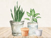 Tin Greens 1 Poster Print - Kimberly Allen