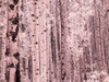 USA-Colorado Infrared of Aspens along the Kebler Pass Poster Print - Terry Eggers