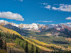 USA-Colorado-Kebler Pass Fall foliage and Aspen trees at their peak-near Crested Butte Poster Print - Terry Eggers