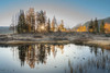 USA-Colorado-Uncompahgre National Forest Pond reflections on frosty sunrise Poster Print - Gallery Jaynes