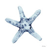 Blue Starfish Poster Print - Patti Bishop