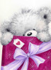Grey Bear Holding Present Poster Print - MAKIKO