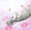 Baby Elepant Sleeping Poster Print - MAKIKO