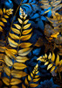 Vibrant Garden and ferns 1 Poster Print - Justyna Jaszke