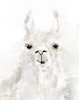 Sweet Llama I Poster Print - Carol Robinson