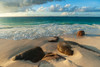Surf surging towards boulders buried in sand on a tropical beach Anse Victorin Beach-Seychelles Poster Print - Sergio Pitamitz