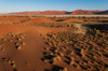 An aerial view of red sand dunes and vegetation in the Namib desert Namibia Poster Print - Sergio Pitamitz