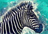 Zebra animal 1 Poster Print - Justyna Jaszke