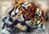 Tiger animal 1 Poster Print - Justyna Jaszke