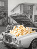Pop the hood - Popcorn Car Poster Print - Artography Vertigo