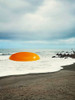 Beach Egg - Sunny side up breakfast Poster Print - Artography Vertigo