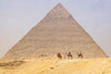 Giza-Cairo-Egypt Men on camels at the Great Pyramid complex Poster Print - Emily M. Wilson