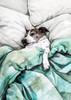 DogAnd#039;s life 6 Poster Print - Justyna Jaszke