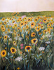 Flower Field Poster Print - Claire Whitehead