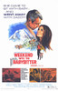 Weekend with the Babysitter Movie Poster (11 x 17) - Item # MOV233214