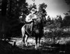 Gene Autry Riding a Horse and Carying a Guitar Photo Print - Item # VARCEL681153
