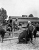 Gene Autry wearing Cowboy Outfit Photo Print - Item # VARCEL681198