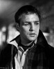 Marlon Brando in On The Waterfront Photo Print - Item # VARCEL682650