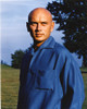 Yul Brynner Posed in Blue Long sleeves Photo Print - Item # VARCEL682960