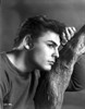 John Saxon with a branch Photo Print - Item # VARCEL683516